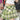 GREEN PLAID MINI SKIRT Y2K FASHION