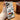 IPHONE CASE ULTIMATE TPU RELIABLE PROTECTION