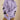 LAVENDER HOODED SWEATSHIRT WITH LOOSE FIT AND LETTER PRINT