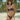 LEOPARD BIKINI RED TRIM HIGH STRETCH KNIT FABRIC