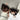 LEOPARD SQUARE SUNGLASSES DECORATIVE EYEGLASSES VISUAL APPEAL