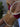 MAROON WHITE BIKINI SET HALTER NECK HIGH STRETCH