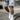 MENS REGULAR FIT EMBROIDERED DENIM SHORTS DAILY