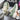 MESH INNER LACE CLOSURE SHOE: BREATHABLE ACTIVEWEAR