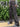 OLIVE GREEN CARGO PANTS WITH MULTIPLE POCKETS AND LOOSE FIT