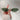 PINK CAT EYE SUNGLASSES ELITE EYE DECOR