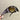 ROUND METAL FRAME DECORATIVE SUNGLASSES WITH PLASTIC LENSES SET