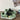 SAGE GREEN STAR SNEAKERS FOR WOMEN