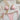 SHELL CHIC BEIGE BIKINI ELASTANE FABRIC