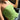 SLIM FIT STRAPLESS TOP WITH ADJUSTABLE DRAWSTRING IN GREEN