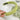 STACKED GREEN HEADBANDS SET FOR WOMEN AND GIRLS