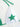 STAR BIKINI GREEN AND WHITE HOT SPORTS LEGGINGS