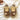 STAR BROWN VEGAN LEATHER SNEAKERS