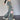 STAR-DECORATED BAGGY JEANS WITH ROPE BELT FOR WOMEN