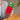 STRAWBERRY DELIGHT IPHONE CASE