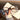 TORTOISESHELL SQUARE GLASSES ANTI BLUE LIGHT EYEGLASSES
