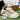 UNIVERSAL CASUAL AND SPORTS SHOES WITH EVA INSOLE AND RUBBER SOLE