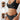 WHITE BRA AND PANTY SET WITH REMOVABLE CHEST PAD