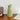 YELLOW FLOWER VASE WITH WHITE DAISIES IN AESTHETIC PASTEL STYLE
